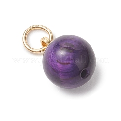 Dyed Natural Tiger Eye Round Charms&nbsp;PALLOY-JF04979