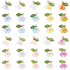 44Pcs 10 Colors Glass & Acrylic Pendant&nbsp;PALLOY-TA00129