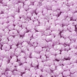 Glass Seed Beads&nbsp;SEED-K009-02A-06