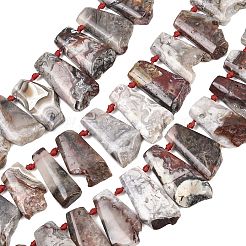 天然メキシカンクレイジーレースアゲートビーズ連売り  不規則な台形  トップ掘削  25~40.5x14~24x6~8mm  穴：1mm  約21個/連  15.75~16.14''（40~41センチメートル）&nbsp;G-B196-A01-01