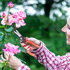 Steel Pruning Shears&nbsp;TOOL-WH0019-83