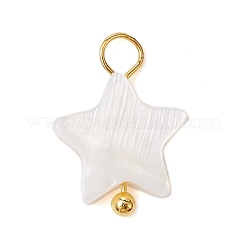 Natural Freshwater Shell Pendants&nbsp;PALLOY-JF02416-02