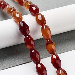 天然石赤瑪瑙ビーズ連売り  多面カットコメ  12.5x8mm  穴：1.2mm  約16個/連  7.68インチ（19.5cm）&nbsp;G-P520-C21-01
