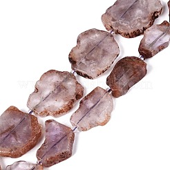 Natural Purple Phantom Quartz/Purple Lodolite Quartz Slice Beads Strands&nbsp;G-N362-11A-01