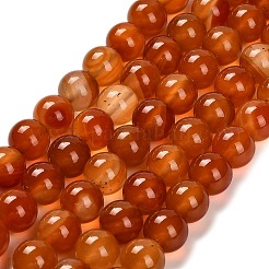 染めの天然な赤瑪瑙ビーズ連売り  ラウンド  チョコレート  10~10.5mm  穴：1~1.2mm  約39個/連  15.16''（38.5センチメートル）&nbsp;G-G203-10H-10mm