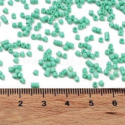 Baking Paint Glass Seed Beads&nbsp;X-SEED-S042-05B-60
