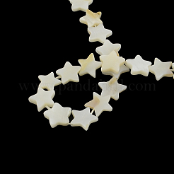 Star Natural Trochid Shell/Trochus Shell Beads Strands&nbsp;SSHEL-F290-19