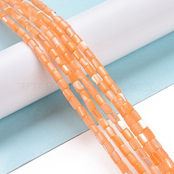 Natural Trochus Shell Beads Strands&nbsp;SSHEL-H070-01F