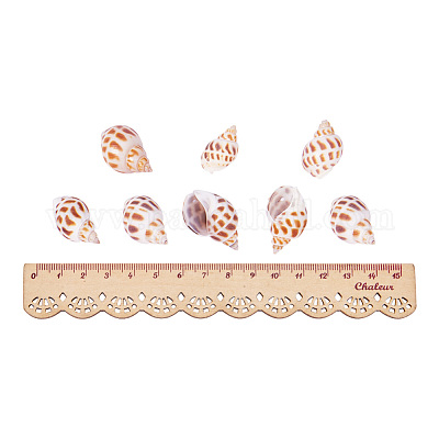 Spiral Shell Pendants&nbsp;SSHEL-PH0001-03-1