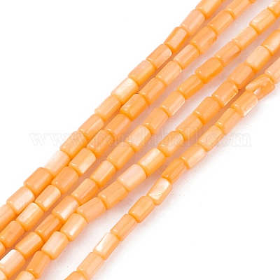 Natural Freshwater Shell Dyed Beads Strands&nbsp;SHEL-M018-12-07-1