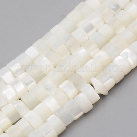 Natural Trochid Shell/Trochus Shell Beads Strands&nbsp;SHEL-R049-024-1