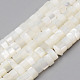 Natural Trochid Shell/Trochus Shell Beads Strands&nbsp;SHEL-R049-024-1