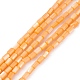 Natural Freshwater Shell Dyed Beads Strands&nbsp;SHEL-M018-12-07-1
