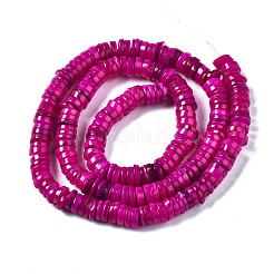Natural Freshwater Shell Beads Strands&nbsp;SHEL-Q024-001F