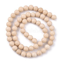 天然石フォッシルビーズ連売り  ラウンド  6mm  穴：1mm  約59~60個/連  15.3インチ&nbsp;G-E110-6mm-2