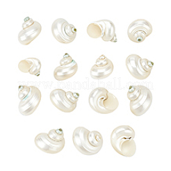 15Pcs Mini Natural Spiral Shell Beads&nbsp;FIND-PH0026-80