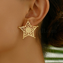 Stainless Steel Hollow Star Stud Earrings&nbsp;BW4018