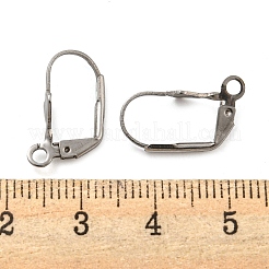 Non-Tarnish 304 Stainless Steel Leverback Earring Findings&nbsp;STAS-P360-02A-P