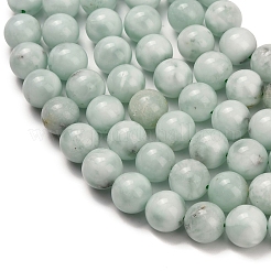 Glass Beads Strands&nbsp;G-L642-B18-12mm