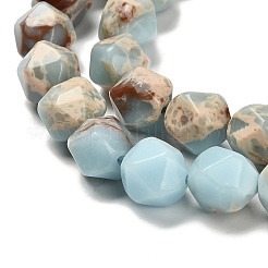 Dyed Natural Howlite Imitation Shoushan Stone Beads Strands&nbsp;G-G203-08F