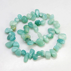 Natural Amazonite Beads Strands&nbsp;X-G-D285-5