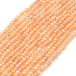 Natural Cultured Freshwater Pearl Beads Strands&nbsp;PEAR-L034-13B