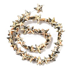 合成ターコイズ染色ビーズ連売り  燃料噴射効果  ヒトデ  ゴールデンロッド  13.5~14x14~15x5mm  穴：1.5mm  約34~36個/連  13.39''（34センチメートル）&nbsp;G-P507-04L