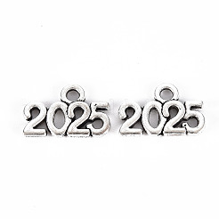 Tibetan Style Alloy Charms&nbsp;X-TIBE-S323-110AS-RS