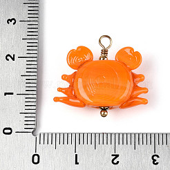 Handmade Lampwork Pendants&nbsp;LAMP-T026-01