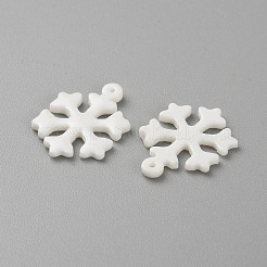 Transparent Resin Pendants&nbsp;FIND-WH20018-03E