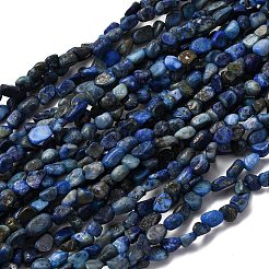 Natural Lapis Lazuli Beads Strands&nbsp;G-I389-A05