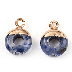 Natural Blue Spot Jasper Flat Round/Donut Charms&nbsp;G-I347-10