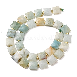 Natural Flower Amazonite Beads Strands&nbsp;G-F839-A21-01