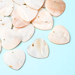 20Pcs Natural Freshwater Shell Pendants&nbsp;SHEL-SC0001-96