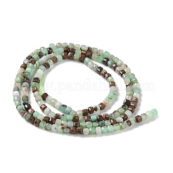 Natural Chrysoprase Beads Strands&nbsp;G-P514-B03-01