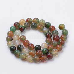 Natural Peacock Green Agate Beads Strands&nbsp;G-S259-16-10mm