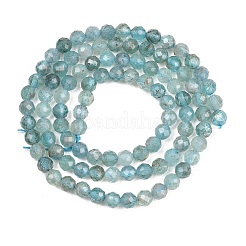 Natural Apatite Beads Strands&nbsp;G-RM250101-C9