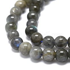 Natural Larvikite Beads Strands&nbsp;G-O201A-07A
