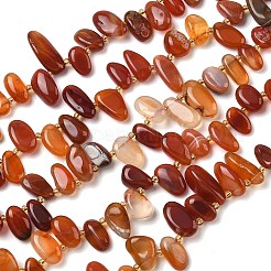 Natural Red Agate Beads Strands&nbsp;G-P604-A14-01