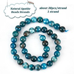 1 Strand Natural Apatite Beads Strands&nbsp;G-OC0004-68