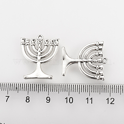 Tibetan Style Alloy Pendants&nbsp;TIBEP-Q078-41AS-NR