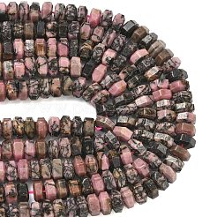 Natural Rhodonite Beads Strands&nbsp;G-L654-I08-01
