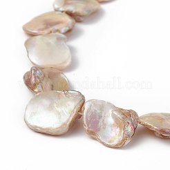 AB Color Plated Natural Freshwater Shell Beads Strands&nbsp;BSHE-G033-03B
