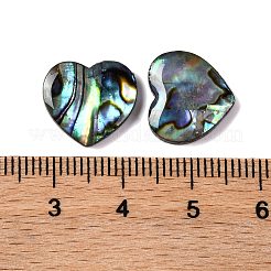 Natural Paua Shell Epoxy Resin Cabochons&nbsp;SSHEL-S279-01D
