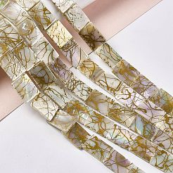 Drawbench Style Natural Freshwater Shell Beads Strands&nbsp;SHEL-F003-02