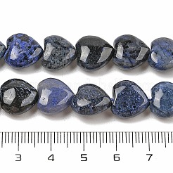 Natural Dumortierite Beads Strands&nbsp;G-H005-C15-02