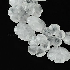 Natural Quartz Crystal Beads Strands&nbsp;G-H023-B17-01