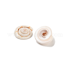 Natural Shiva Eye Shell Beads&nbsp;BSHE-S090