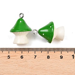Opaque Resin Pendants&nbsp;RESI-XCP0002-40A