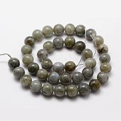 天然石ラブラドライトビーズ連売り  ラウンド  10mm  穴：1mm  約19個/連  7.7インチ&nbsp;G-O155-05B-10mm